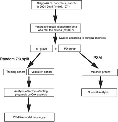 Effects of Total Pancreatectomy on Survival of Patients With Pancreatic Ductal Adenocarcinoma: A Population-Based Study